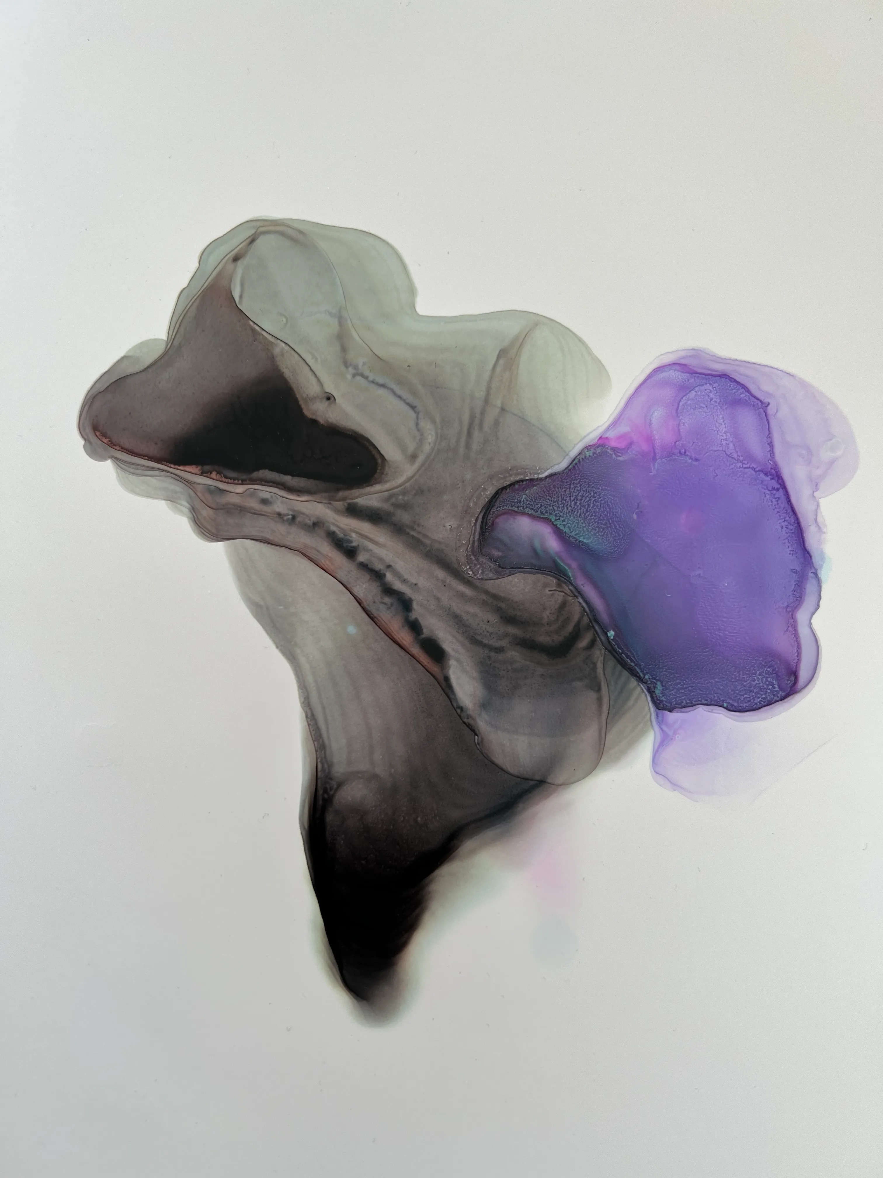 Ink study — alcohol ink